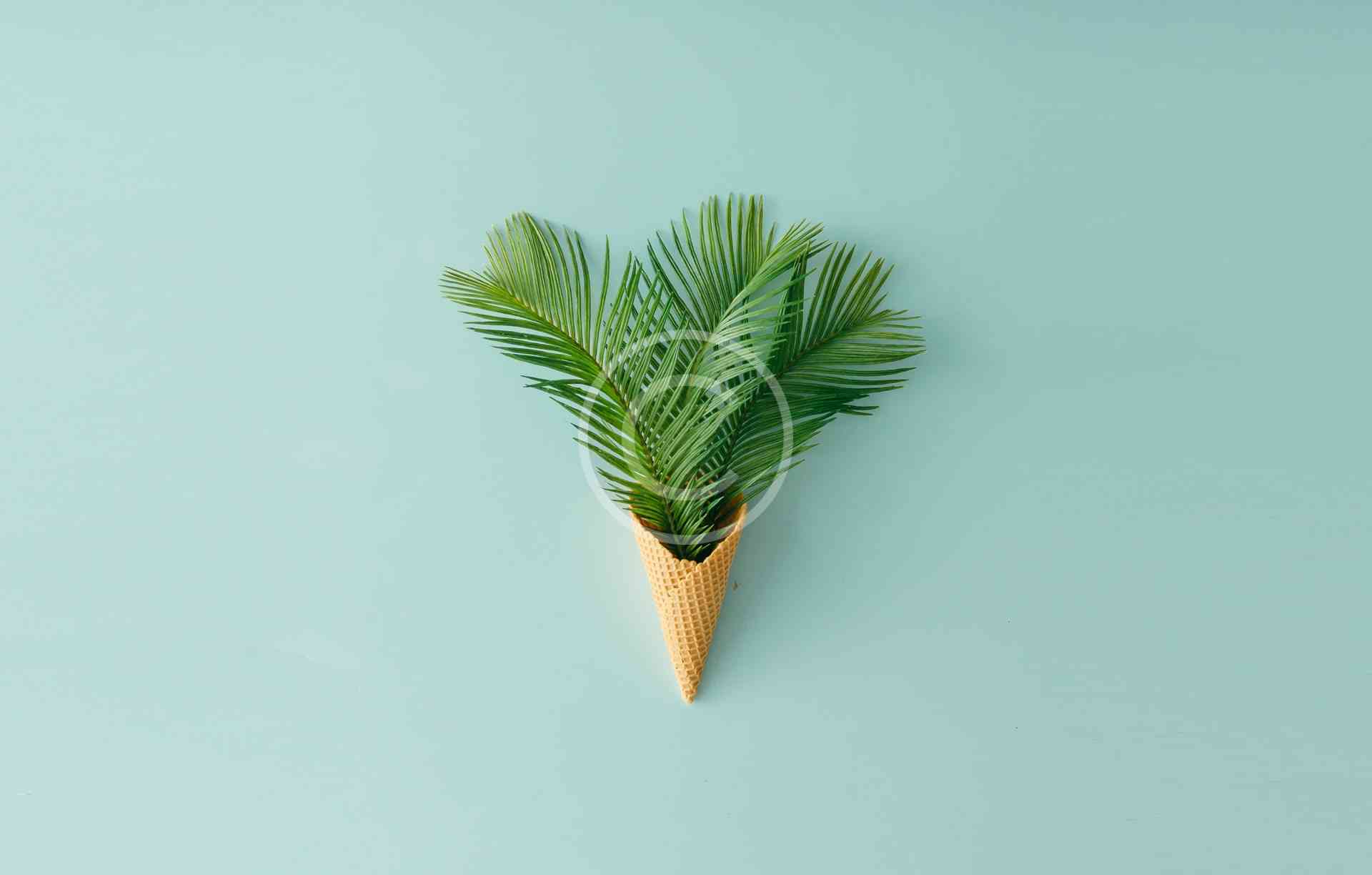 Extraordinary Things